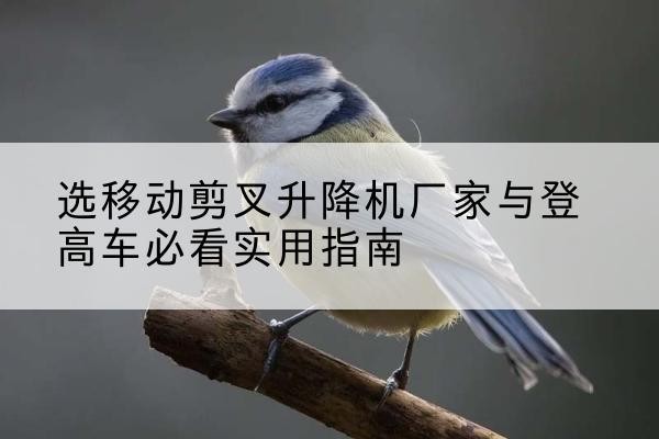 普陀区电动升降机厂家-选移动剪叉升降机厂家与登高车必看实用指南