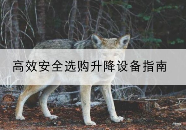 普陀区升降货梯厂家推荐-*安全选购升降设备指南