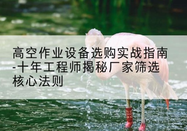 普陀区剪叉式升降机厂家-高空作业设备选购实战指南-十年工程师揭秘厂家筛选核心法则